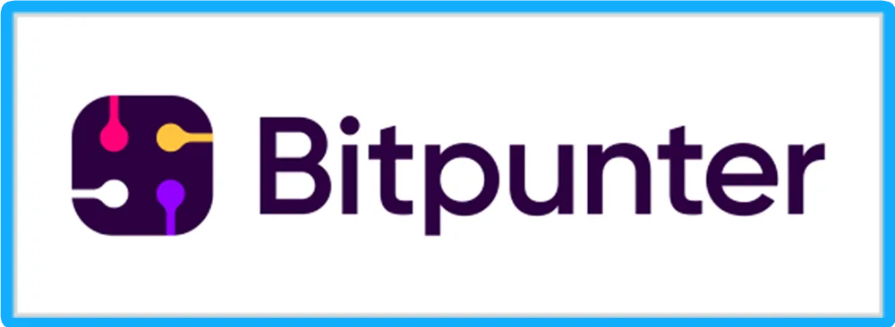 bitpunter bitpunter