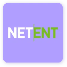 Net Ent Net Ent