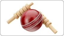 Cricket cricket