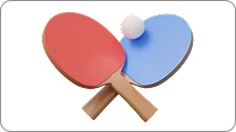 Table Tennis table tennis