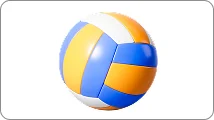 Volleyball volleyball